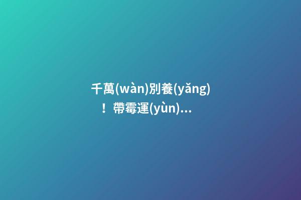千萬(wàn)別養(yǎng)！帶霉運(yùn)惡植物